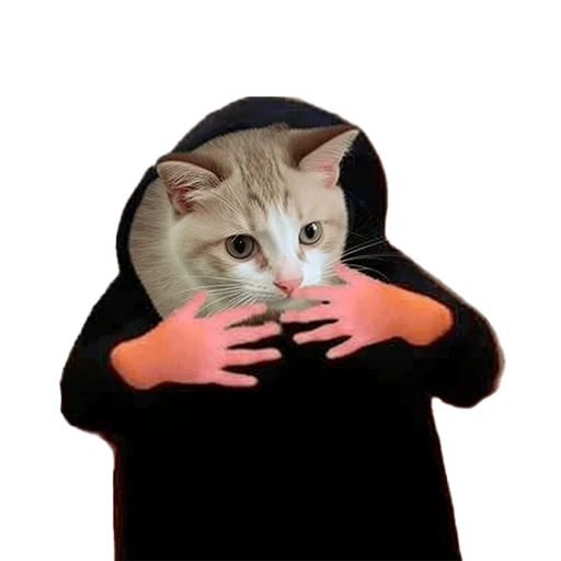 😮 Стикер «Meme bro» для Telegram