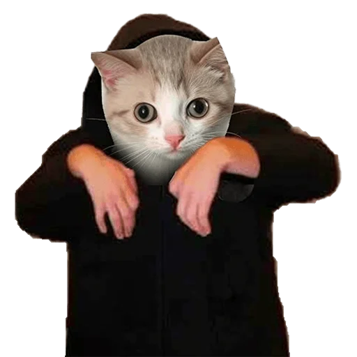 🥰 Стикер «Meme bro» для Telegram