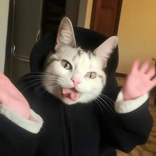 🤪 Стикер «Meme bro» для Telegram