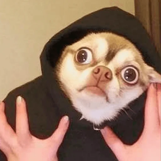 Стикерпак Meme bro для Telegram