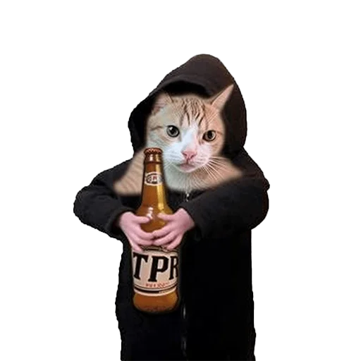 🍺 Стикер «Meme bro» для Telegram
