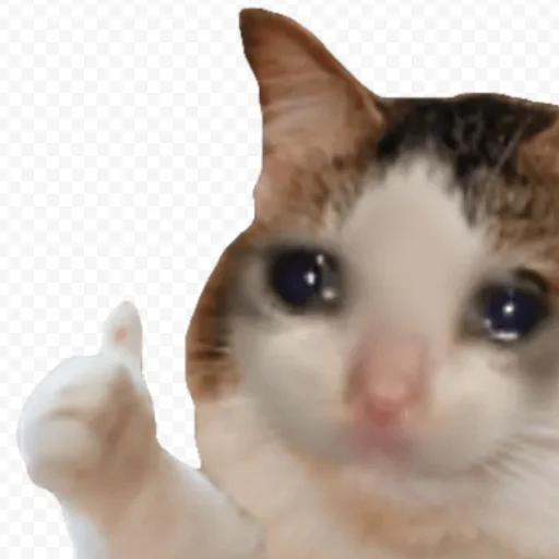 👍 Стикер «котики cats» для Telegram