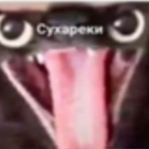 🍞 Стикер «котики cats» для Telegram
