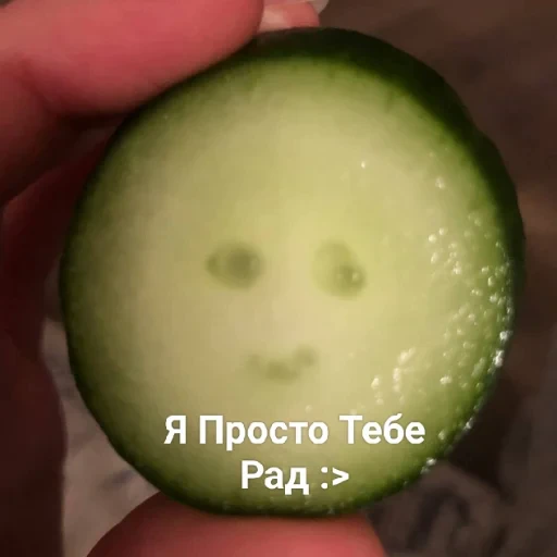 🥒 Стикер «котики cats» для Telegram