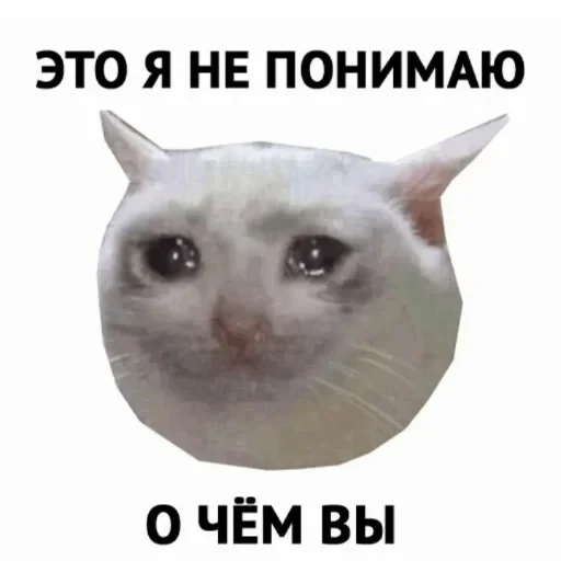 🥲 Стикер «котики cats» для Telegram