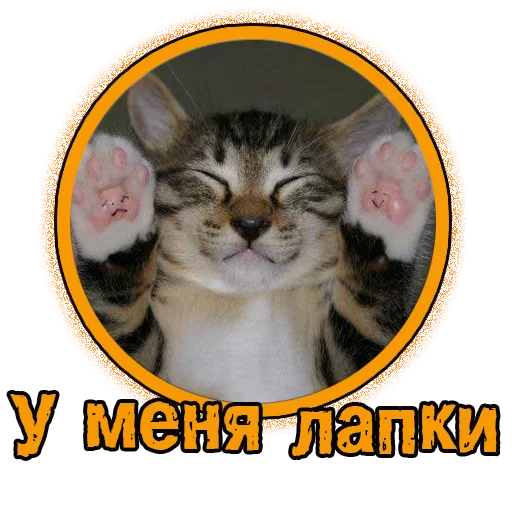 Стикерпак Милые котята для Telegram