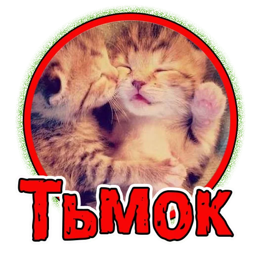 😘 Стикер «Милые котята» для Telegram