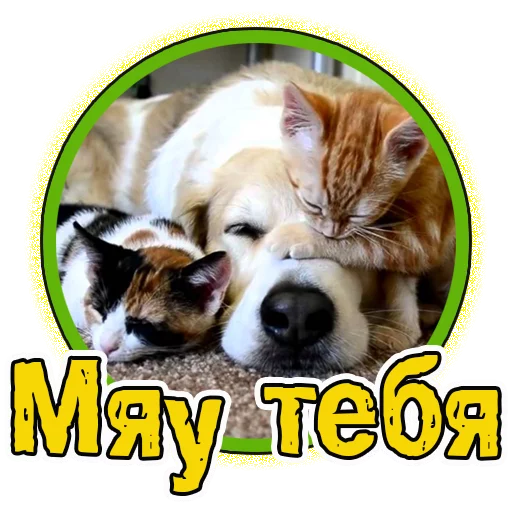 😉 Стикер «Милые котята» для Telegram