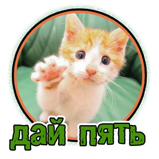 🖐 Стикер «Милые котята» для Telegram