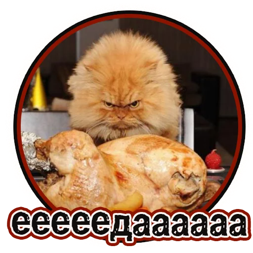 😋 Стикер «Милые котята» для Telegram