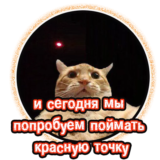 👌 Стикер «Милые котята» для Telegram