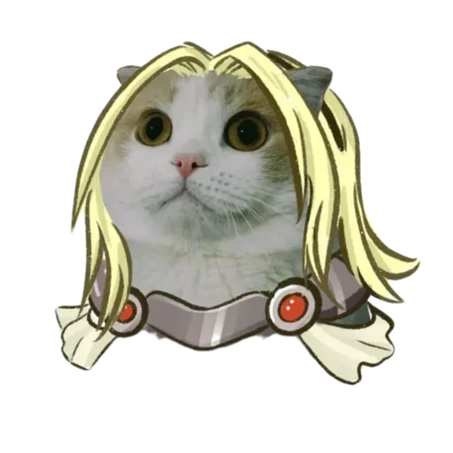 👩 Стикер «memecats» для Telegram