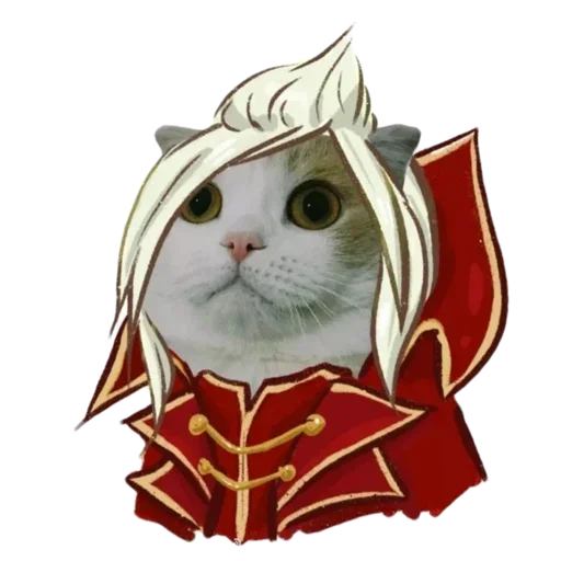 💂‍♀️ Стикер «memecats» для Telegram
