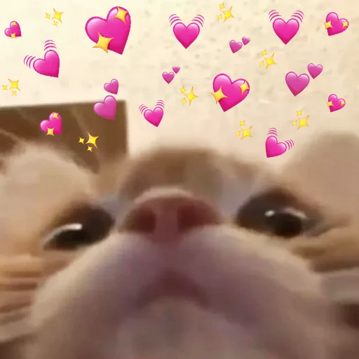 💖 Стикер «MEME MOTIVATED» для Telegram