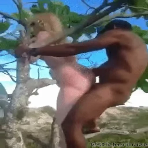 🌳 Стикер «᯽ ＭЄＭЄƧ - 1│ ᯽» для Telegram