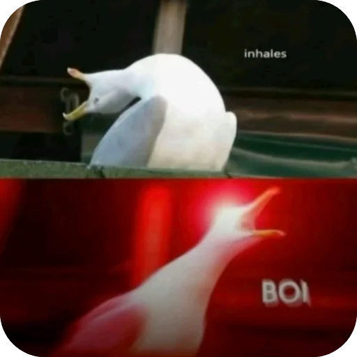 🐦 Стикер «Meme Pack 2.0 =>» для Telegram