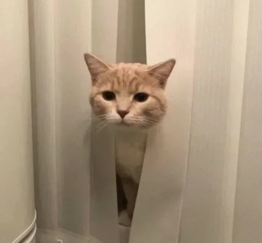 ❤️ Стикер «Memes 12» для Telegram