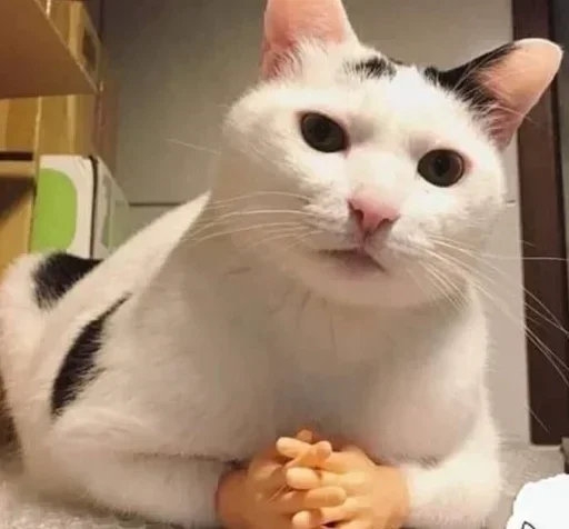 ❤️ Стикер «Memes 12» для Telegram