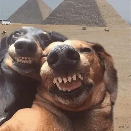 ❤️ Стикер «Memes 12» для Telegram