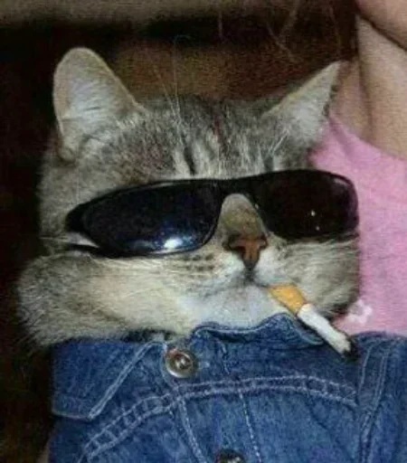 ❤️ Стикер «Memes 12» для Telegram