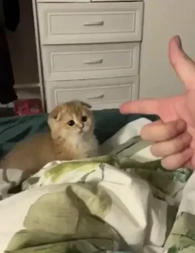 ❤️ Стикер «Memes 12» для Telegram