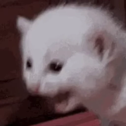 ❤️ Стикер «Memes 12» для Telegram