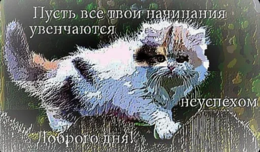 ❤️ Стикер «Мемные 3» для Telegram