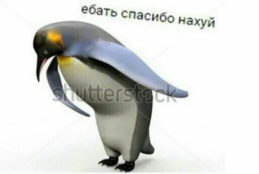 🐧 Стикер «MDA» для Telegram