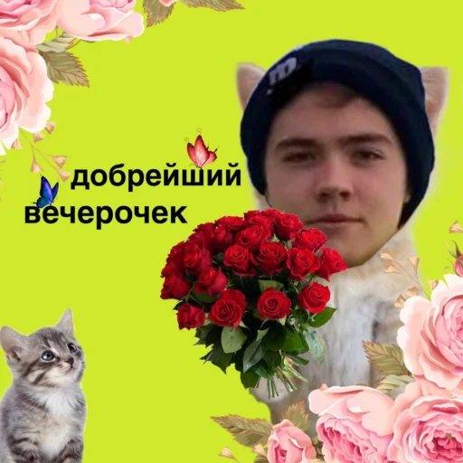 🌹 Стикер «Memes_team» для Telegram