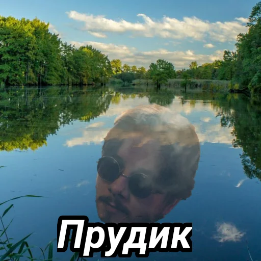 🏞 Стикер «Memes_team» для Telegram