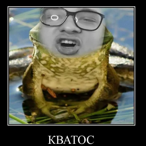 🐸 Стикер «Memes_team» для Telegram