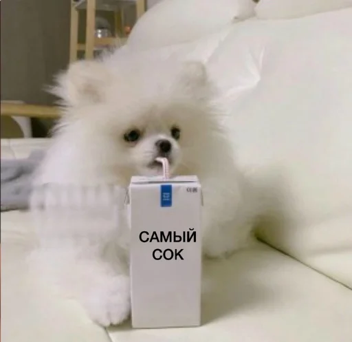 👌 Стикер «All you need is MEMES» для Telegram