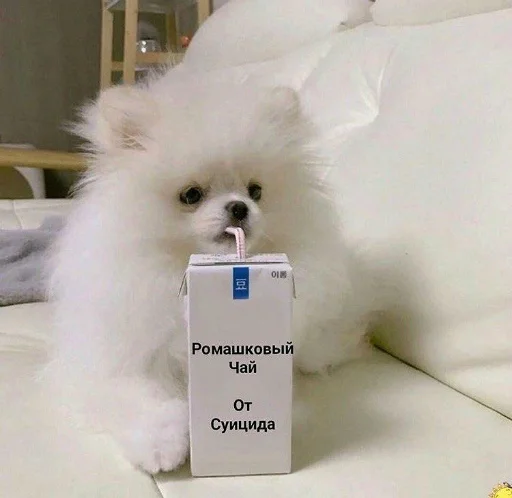 😰 Стикер «All you need is MEMES» для Telegram