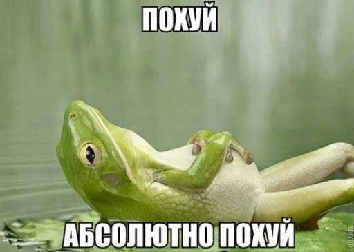 🤷 Стикер «All you need is MEMES» для Telegram