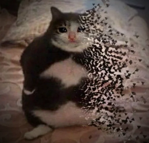 😢 Стикер «All you need is MEMES» для Telegram