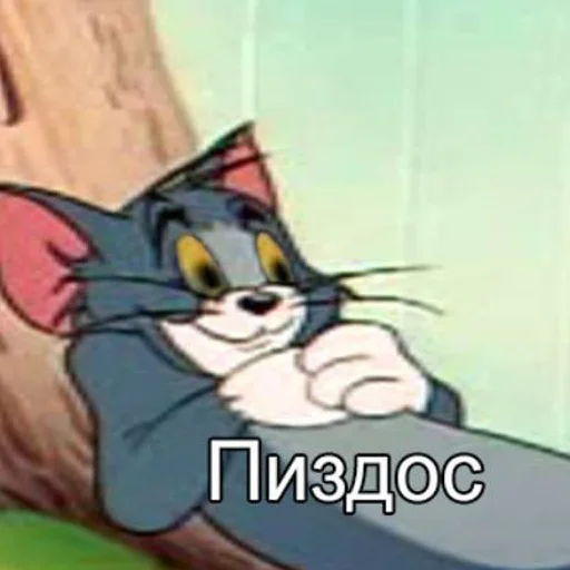😳 Стикер «коты и мемы» для Telegram