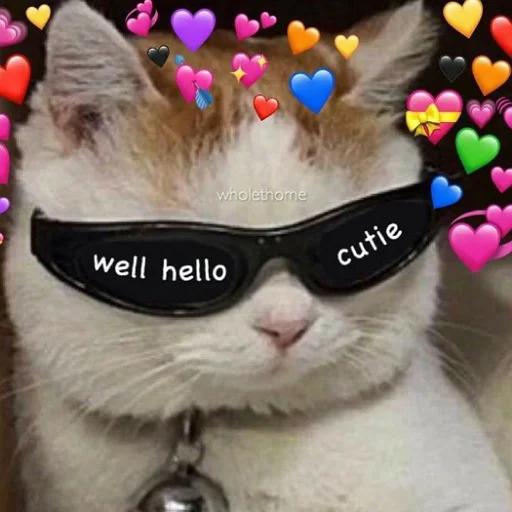 ✌️ Стикер «коты и мемы» для Telegram