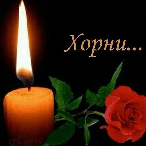 😏 Стикер «коты и мемы» для Telegram
