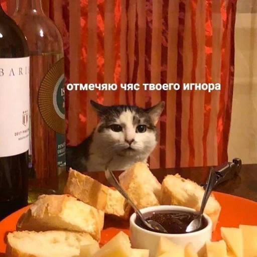 😞 Стикер «коты и мемы» для Telegram