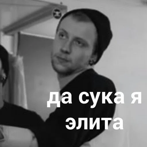 😎 Стикер «коты и мемы» для Telegram
