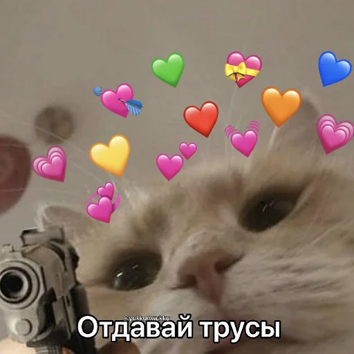 🔫 Стикер «коты и мемы» для Telegram