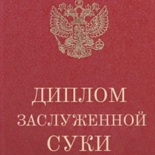 😏 Стикер «коты и мемы» для Telegram