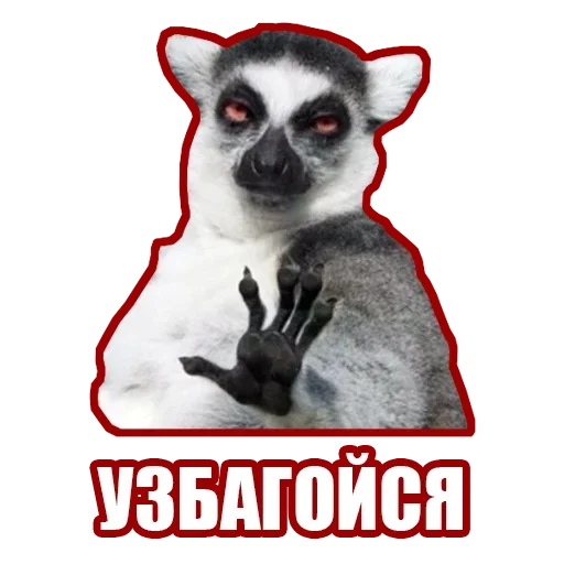 😬 Стикер «Рандомные мемы и пупы» для Telegram