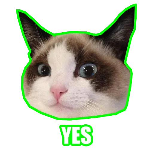 😻 Стикер «Рандомные мемы и пупы» для Telegram