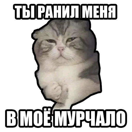 😣 Стикер «Рандомные мемы и пупы» для Telegram