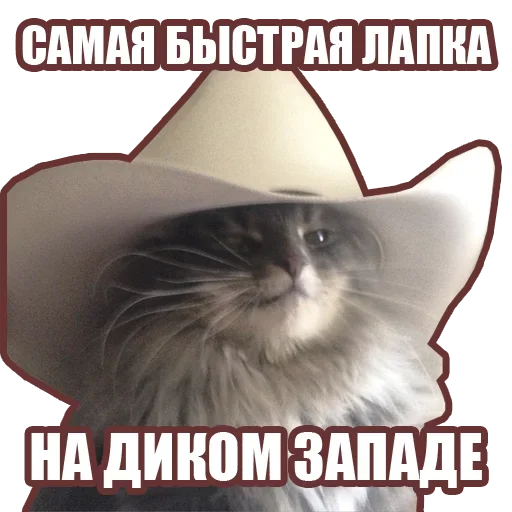 🤠 Стикер «Рандомные мемы и пупы» для Telegram