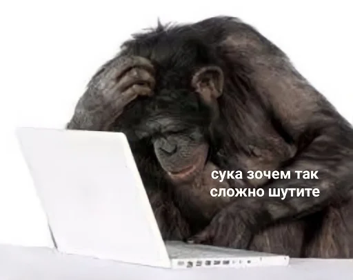 🐒 Стикер «Мемуасики» для Telegram