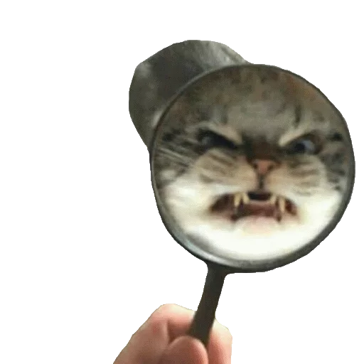 😡 Стикер «Memes de retardado» для Telegram