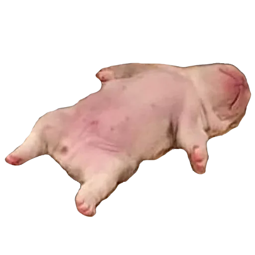 😵 Стикер «Memes de retardado» для Telegram