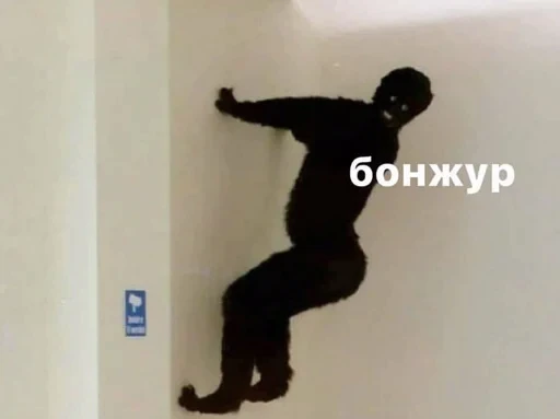 🤡 Стикер «мемы» для Telegram